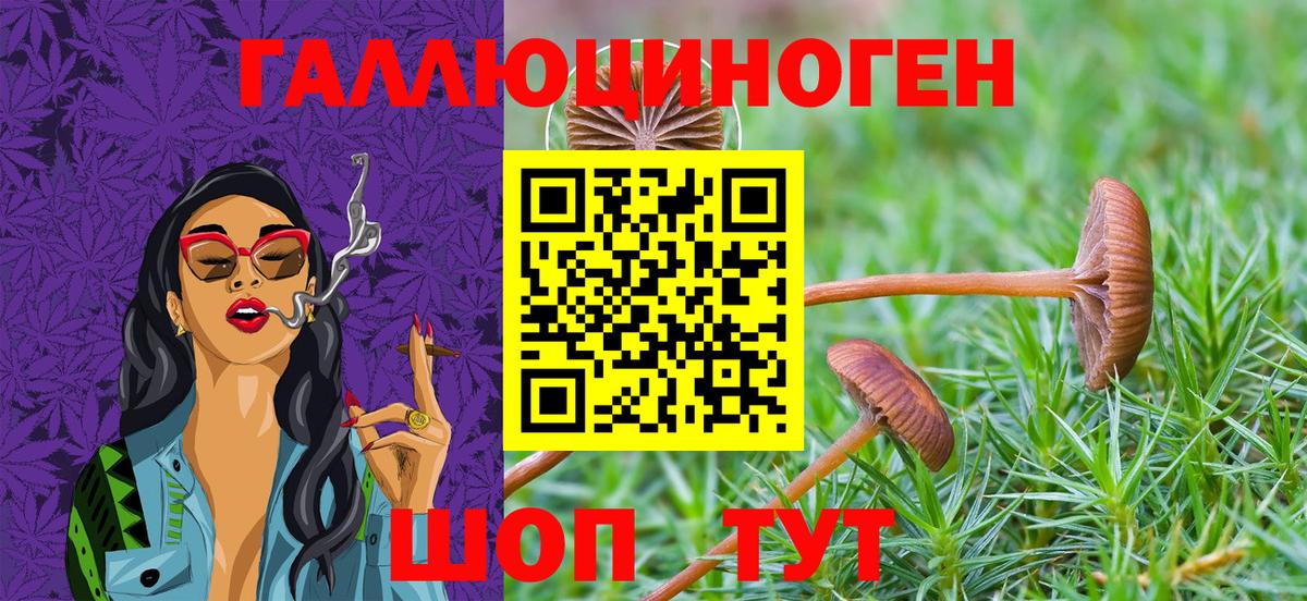 Галлюциногенные грибы MAGIC MUSHROOMS Кисловодск
