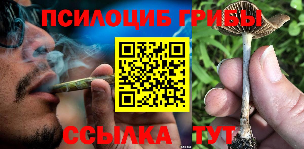 купить закладку  Галлюциногенные грибы Cubensis  Вход с VPN  Кисловодск 