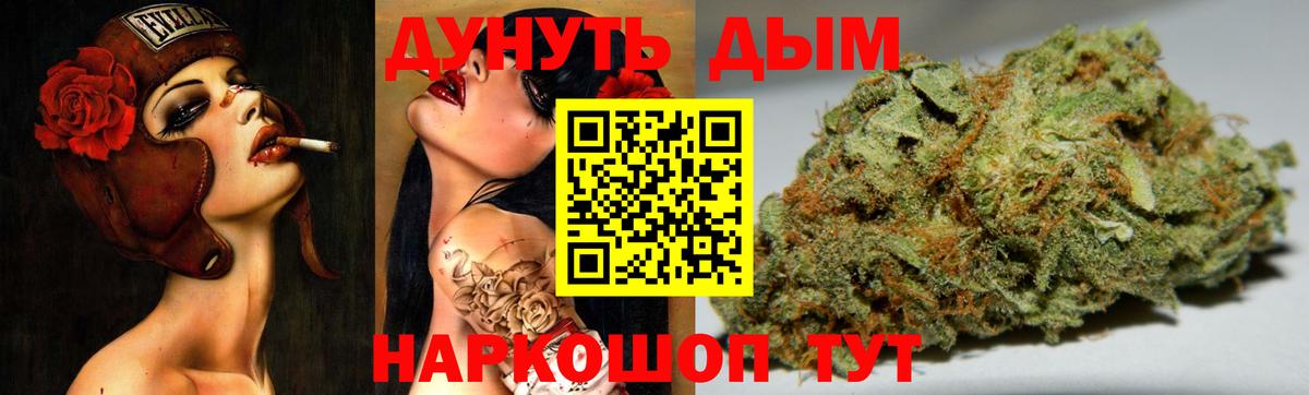 Каннабис White Widow Кисловодск